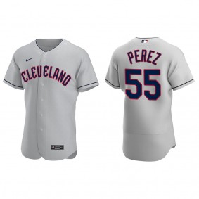 Cleveland Guardians Roberto Perez 2022 Authentic Gray Jersey