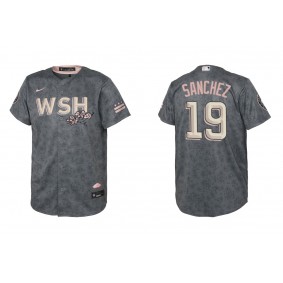 Youth Washington Nationals Anibal Sanchez Gray 2022 City Connect Replica Jersey