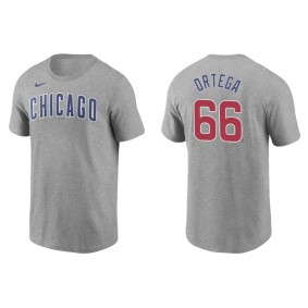 Men's Chicago Cubs Rafael Ortega Gray Name & Number Nike T-Shirt