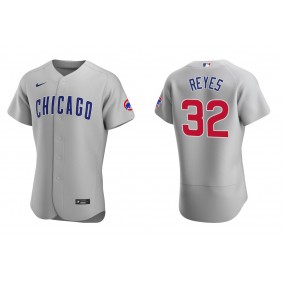 Men's Chicago Cubs Franmil Reyes Gray Authentic Road Jersey
