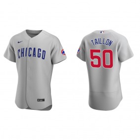 Jameson Taillon Men's Chicago Cubs Nike Gray Road Authentic Jersey