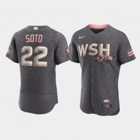 Washington Nationals #22 Juan Soto Authentic 2022 City Connect Men's Jersey - Gray