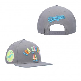 Los Angeles Dodgers Pro Standard Washed Neon Snapback Hat Gray