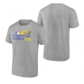 Men's MLB Fanatics Branded Heathered Gray 2022 MLB Spring Training Grapefruit League Logo T-Shirt