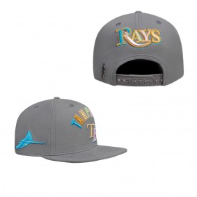 Tampa Bay Rays Pro Standard Washed Neon Snapback Hat Gray