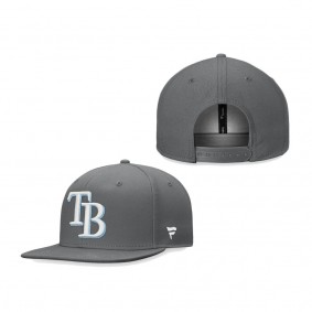 Tampa Bay Rays Fanatics Branded Snapback Hat Graphite