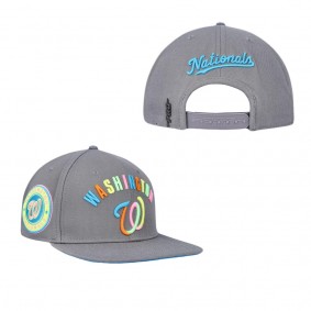 Washington Nationals Pro Standard Washed Neon Snapback Hat Gray