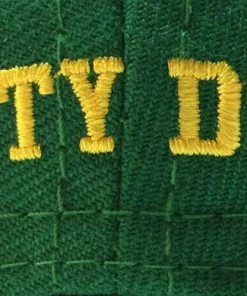 Headgear Classics Charlie Conway D-5 Mighty Ducks Movie Authentic Hockey Snapback Hat Cap Flat