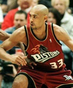 Grant Hill Detroit Pistons Mitchell & Ness NBA Authentic Jersey 1999-2000 Red 9 Grant Hill Detroit Pistons Mitchell & Ness NBA Authentic Jersey 1999-2000 Red