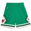 Chicago Bulls Mitchell & Ness NBA Authentic Men's Mesh Shorts St. Patrick's Day