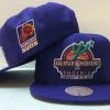 1995 NBA All-Star Game Phoenix Suns Mitchell & Ness Snapback Hat Cap ASG Retro