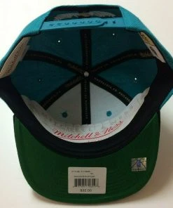 Detroit Pistons Mitchell & Ness NBA Snapback Hat Cap Horse Hardwood Classics HWC