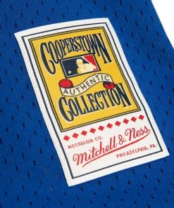 Vladimir Guerrero Montreal Expos Mitchell & Ness MLB Authentic Batting Jersey