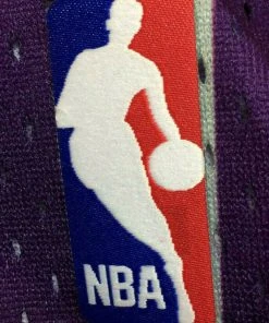 Vince Carter Toronto Raptors Mitchell & Ness NBA 1998-1999 Authentic Jersey HWC