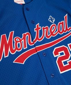 Vladimir Guerrero Montreal Expos Mitchell & Ness MLB Authentic Batting Jersey