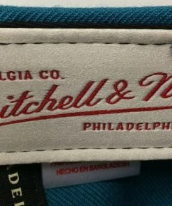 Detroit Pistons Mitchell & Ness NBA Snapback Hat Cap Horse Hardwood Classics HWC