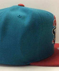 Detroit Pistons Mitchell & Ness NBA Snapback Hat Cap Horse Hardwood Classics HWC