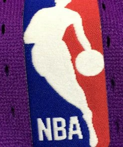 Ray Allen Milwaukee Bucks Mitchell & Ness NBA Authentic Jersey 2000-2001 Purple