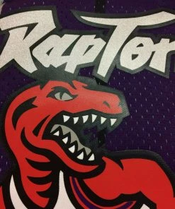 Tracy McGrady Toronto Raptors Mitchell & Ness NBA 1998-1999 Authentic Jersey HWC