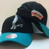 Tim Duncan San Antonio Spurs Mitchell & Ness NBA Snapback Hat Highlight HWC Cap