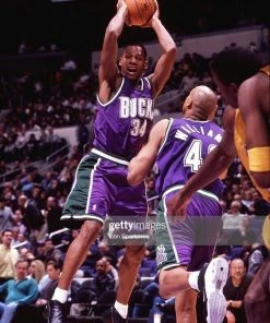 Ray Allen Milwaukee Bucks Mitchell & Ness NBA Authentic Jersey 2000-2001 Purple