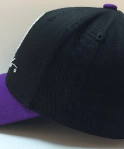 Vince Carter Toronto Raptors Mitchell & Ness NBA Snapback Hat Highlight HWC Cap