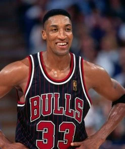 Scottie Pippen Chicago Bulls Mitchell & Ness NBA 1995-1996 Authentic Jersey HWC