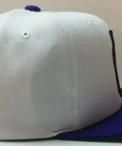 Toronto Raptors Mitchell & Ness NBA Snapback Hat 2Tone Hardwood Classics Cap