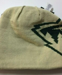 2022 Minnesota Wild Fanatics NHL Big Logo Pom Green Knit Hat Stocking Cap
