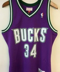 Ray Allen Milwaukee Bucks Mitchell & Ness NBA Authentic Jersey 2000-2001 Purple