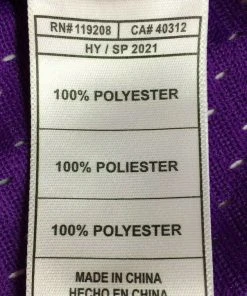 Ray Allen Milwaukee Bucks Mitchell & Ness NBA Authentic Jersey 2000-2001 Purple