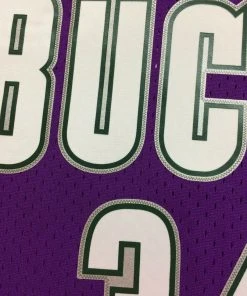 Ray Allen Milwaukee Bucks Mitchell & Ness NBA Authentic Jersey 2000-2001 Purple