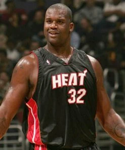 Shaquille O'Neal Miami Heat Mitchell & Ness NBA Authentic 2005-2006 Shaq Jersey