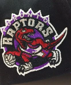Vince Carter Toronto Raptors Mitchell & Ness NBA Snapback Hat Highlight HWC Cap